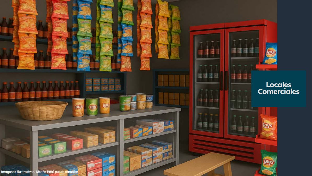 Locales Comerciales